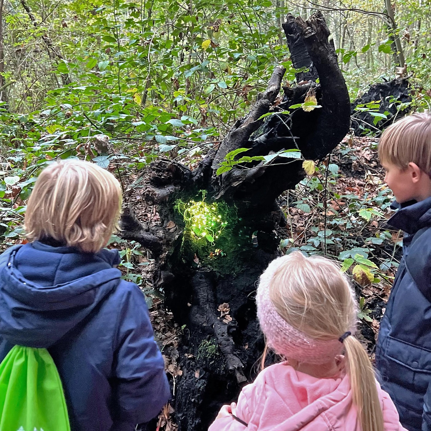 Wald-Zauber-Magie – Märchenwanderung im Advent