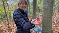 Wald-Zauber-Magie – Märchenwanderung im Advent 