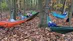 Wald-Zauber-Magie – Märchenwanderung im Advent 