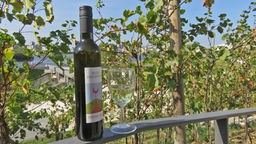 Blick vom Weinberg auf Phoenix See in Dortmund, im Vordergrund eine Weinflasche mit Glas