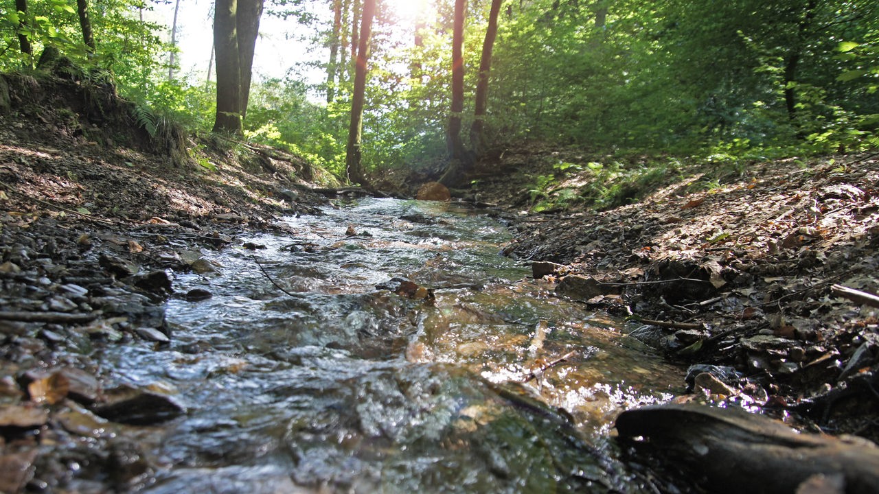 Kindelsbergpfad bei Kreuztal