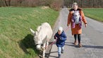 Eine Wanderung mit Eseln von Schalksmühle nach Breckerfeld