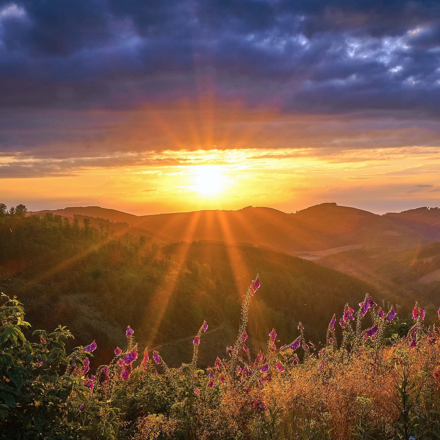 Foto-Wandern im Sauerland – Der Tanz mit dem Licht