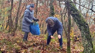 Teilnehmerinnen sammeln Waldschätze 