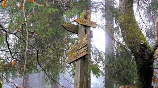 Wilde Wiese: Das kleine Wander-Glück! 