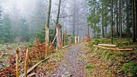 Wilde Wiese: Das kleine Wander-Glück! 