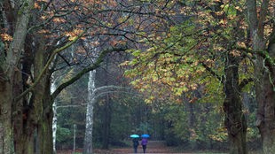 Zwei Personen gehen im Regen spazieren