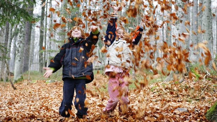Spielende Kinder im Herbst