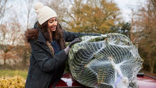 Eine Frau bindet einen Weihnachtsbaum auf das Dach ihres Autos