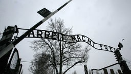 Eingang mit der Aufschritt "Arbeit macht frei" zum ehemaligen KZ Auschwitz-Birkenau