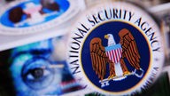 Farbiges Logo des US-Geheimdienstes NSA