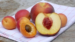 Pfirsiche und Aprikosen, sowie jeweils zwei aufgeschnittene Hälften mit Kern liegen auf einem Küchentuch auf Holztischplatte.