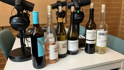 Mehrere angebrochene Weinflaschen aus Rioja in einem Aufnahme-Studio.