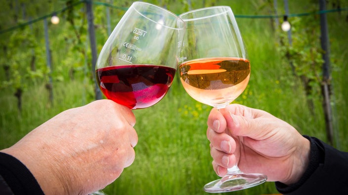 Zwei Männer stoßen mit einem Glas Rose und einem Glas Rotwein an. 