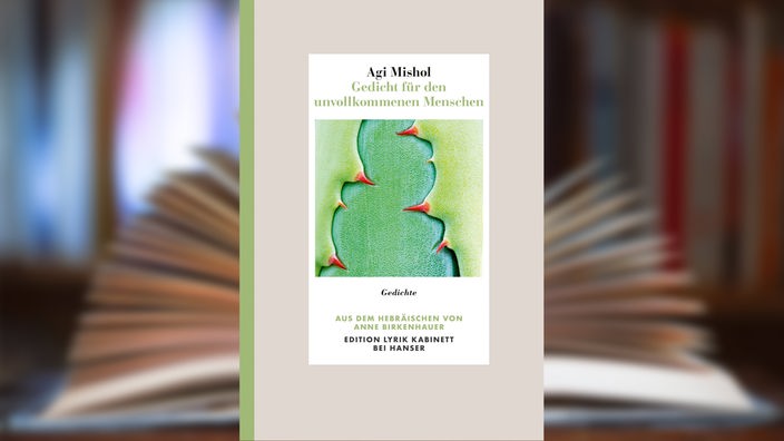Buchcover: "Gedicht für den unvollkommenen Menschen" von Agi Mishol