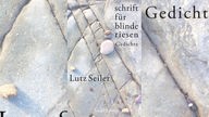 Buchcover: "schrift für blinde riesen" von Lutz Seiler,