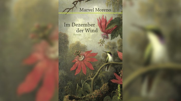 Buchcover: "Im Dezember der Wind" von Marvel Moreno