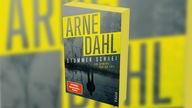 Buchcover: "Stummer Schrei" von Arne Dahl