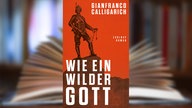 Buchcover:  "Wie ein wilder Gott" von Gianfranco Calligarich