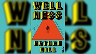 Buchcover: "Wellness" von Nathan Hill