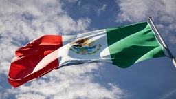 Fahne Mexikos