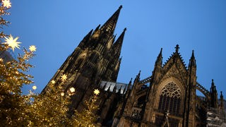 Beleuchtete Christbaumspitzen vor dem Kölner Dom