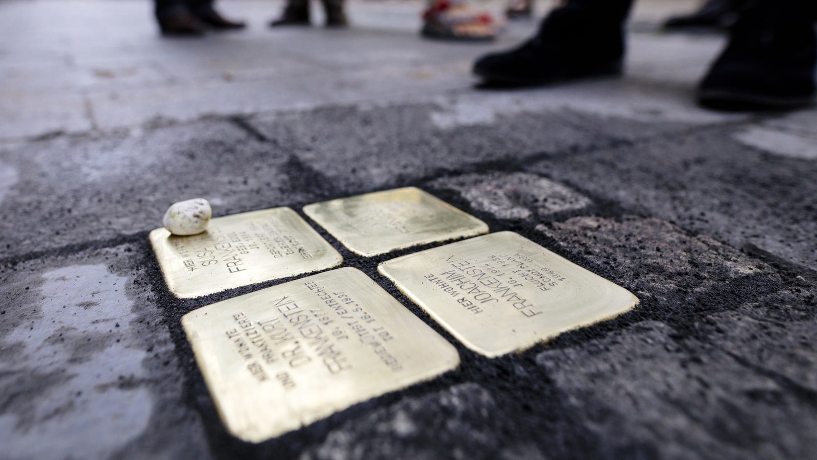 52 Neue Stolpersteinverlegungen In Köln Kulturnachrichten Kultur Wdr 1041