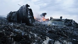 brennendes Flugzeugwrack der MH17 am 17.07.2014