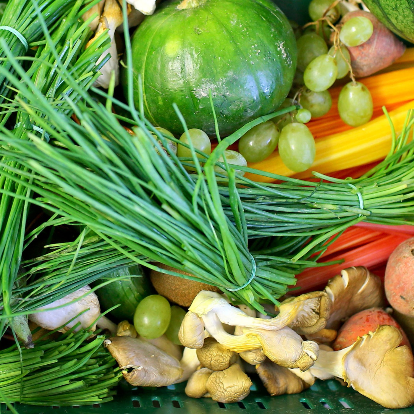 Einmal gesund und günstig, bitte! Mittagstisch in Kita und Schule