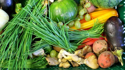 Das Beitragsbild des Dok 5 Feature "Einmal gesund und günstig bitte! Mittagstisch in Kita und Schule" zeigt verschiedenes, frisches Gemüse und Obst in einer Kiste