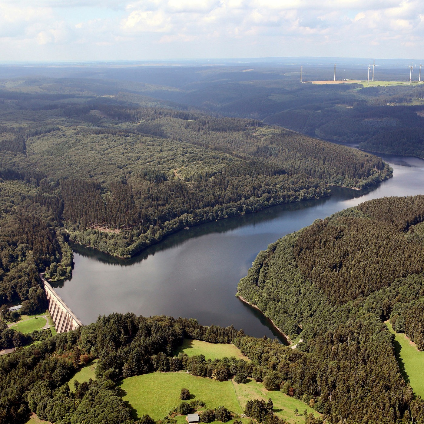 Grüne Adern - Wie Ökokorridore Natur vernetzen