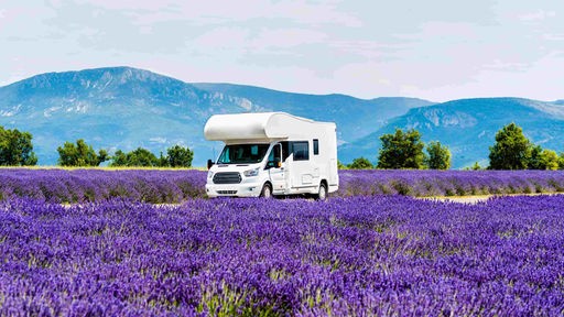 Beitragsbild zeigt einen Wohnwagen unterwegs in der Provence, Frankreich. Rechts und links der Straße sind Lavendelfelder. 
