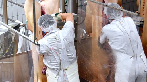 Das Beitragsbild des WDR5 Dok5 "Nach der Arbeit hängen die Kleider ihre Menschen auf" zeigt Arbeiter in einem Schlachtbetrieb, die Schweinehälften zerteilen.