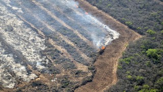 Das Beitragsbild des Dok5 "Lücken in der Lieferkette - Was bringt das Lieferkettengesetz?" zeigt illegale Brandrodung auf zukünftigen Soja-Feldern in Salta, Argentinien. 
