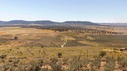 Das Beitragsbild des Dok5 Feature "Spiel mir das Lied vom Lithium" zeigt eine trockene Agrarlandschaft in Spanien.
