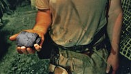 Symbolbild Bergbau im Ruhrgebiet: Ein Bergarbeiter hält ein Stück Kohle in der Hand.