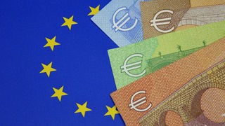 Auf einer Europafahne liegen Geldscheine.