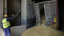 Angestellter überwacht das Entladen von Getreide aus einem ukrainischen Lkw im Schwarzmeerhafen, 21.06.2022.  