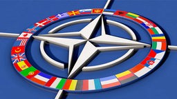 Symbolbild zu den Mitgliedsstaaten der Nato, 21.02.2022.