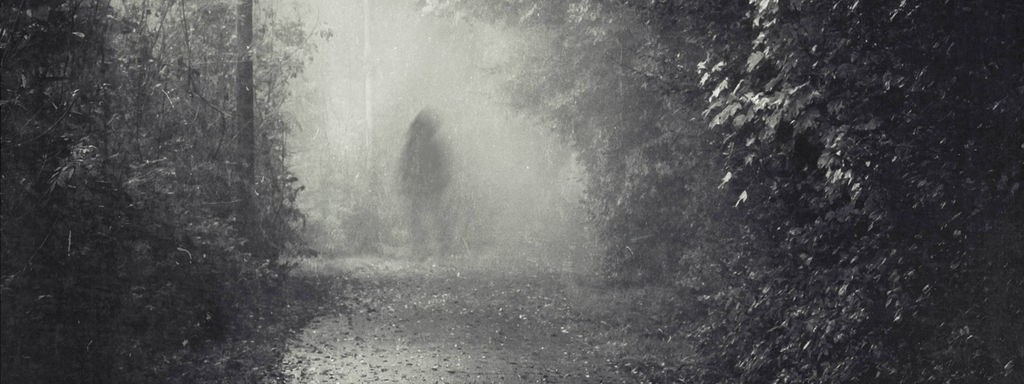 Eine verschwommene Gestalt in einem dunklen Wald.