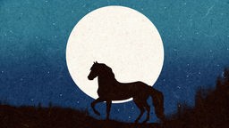 Illustration: Ein Pferd steht in einer sternenklaren Nacht vor dem Mond.