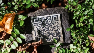 Ein QR-Code auf einer Grabstätte auf dem Kölner Melaten-Friedhof