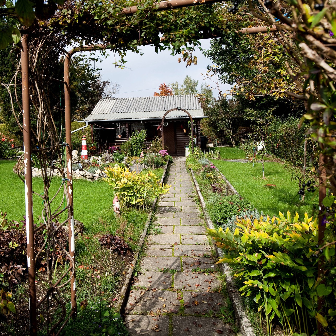 Gartenlust: Wie das Gras wächst