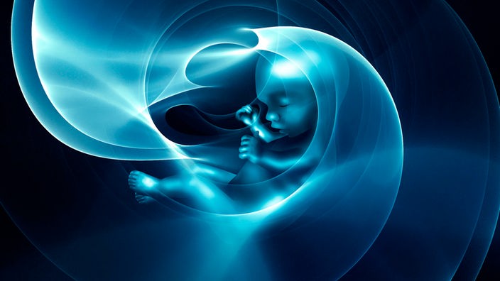Stilisierte Darstellung eines Embryos bei einer Ultraschalluntersuchung