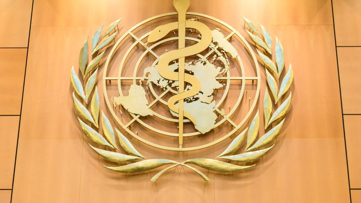 Das WHO-Logo vor einer hölzernen Wand.