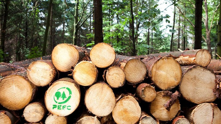Gelagerte Holzstämme mit grünem PEFC-Siegel