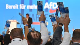 Abstimmung auf dem AfD-Parteitag in Magdeburg