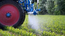 Traktor spritzt Pestizid auf einem Feld