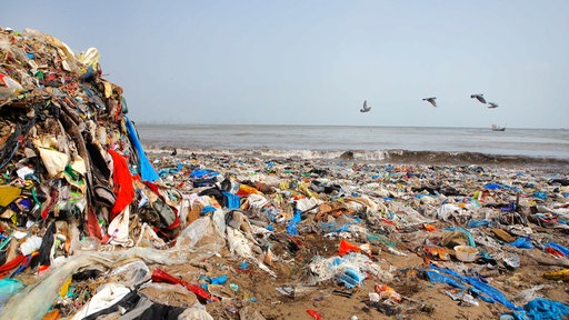 Ein Strand ist über und über mit Plastikmüll bedeckt