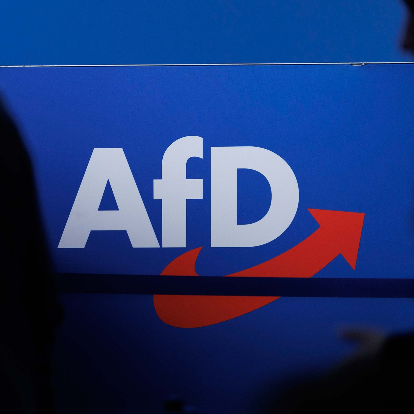 Unter Verdacht: Ist die AfD noch wählbar?